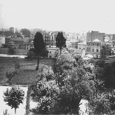 Vista del huerto, con el caserío de Les Corts al fondo. 1950-1952.